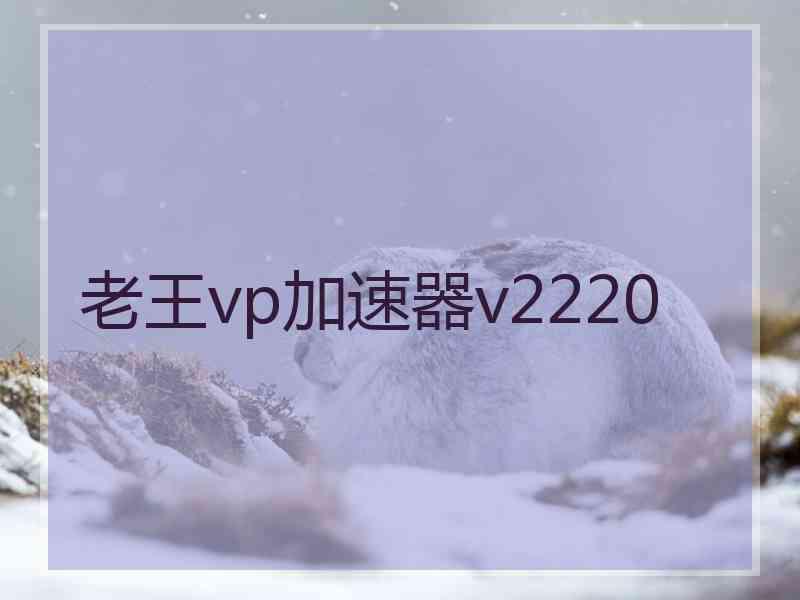 老王vp加速器v2220