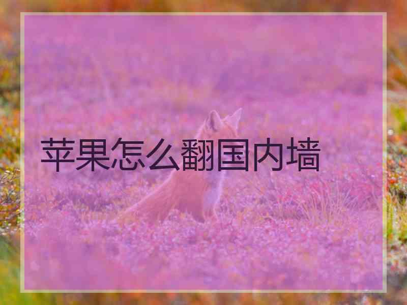 苹果怎么翻国内墙