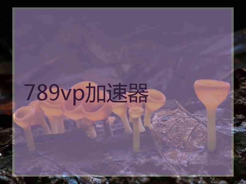 789vp加速器