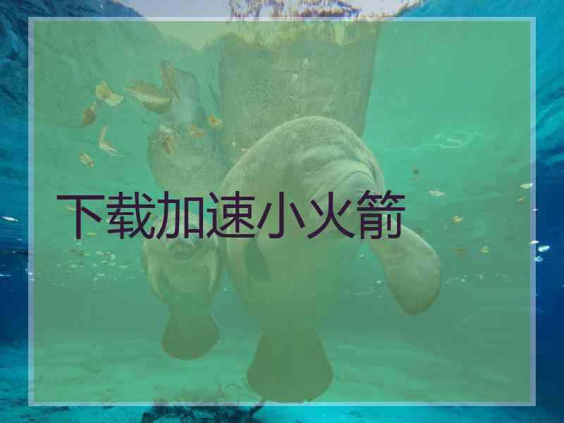 下载加速小火箭