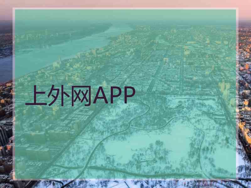 上外网APP