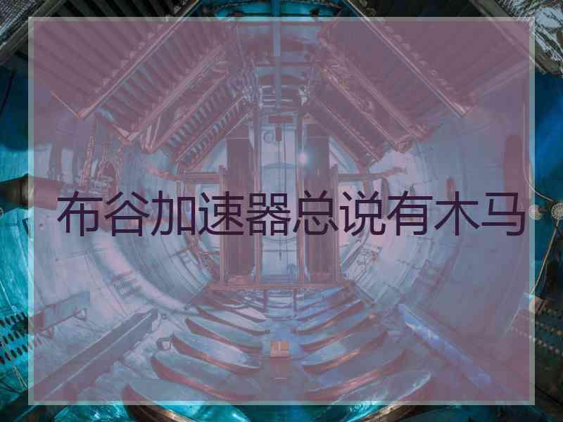 布谷加速器总说有木马