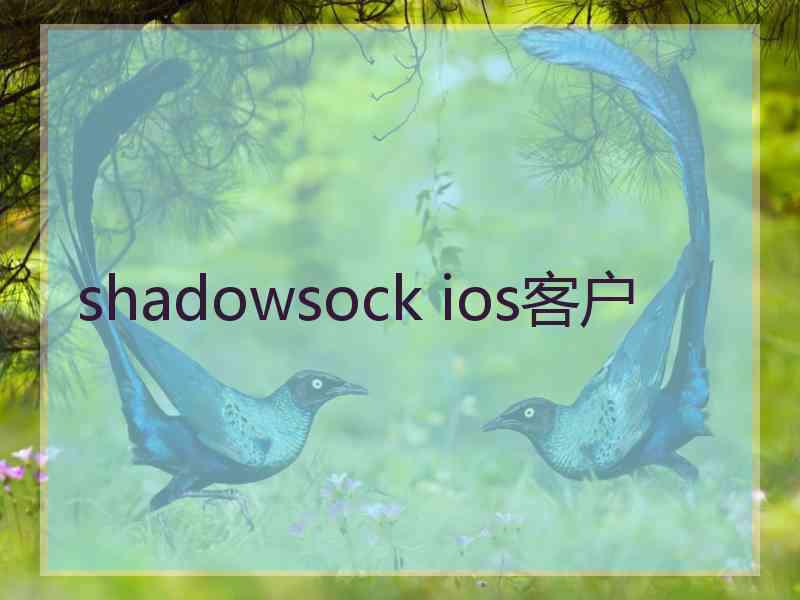 shadowsock ios客户