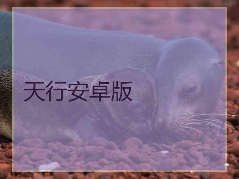 天行安卓版