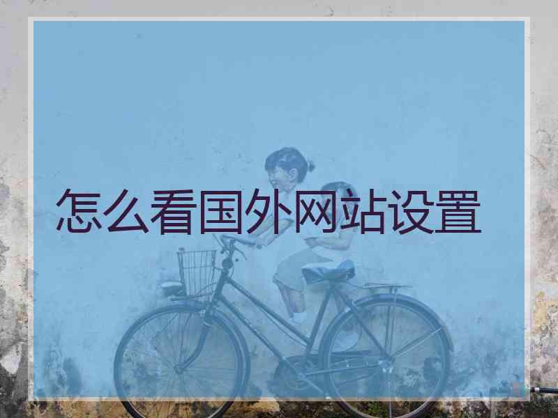 怎么看国外网站设置