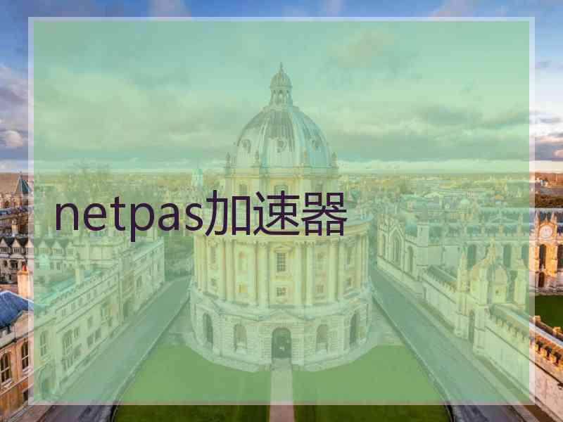 netpas加速器