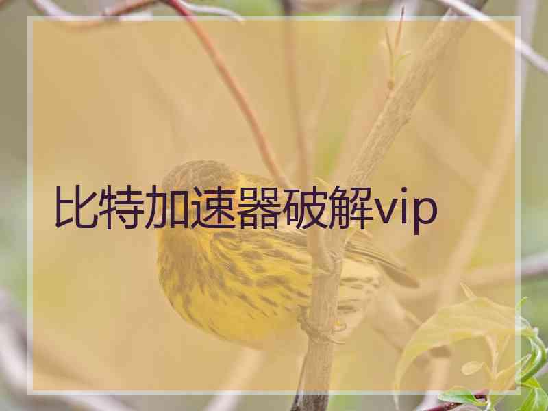 比特加速器破解vip