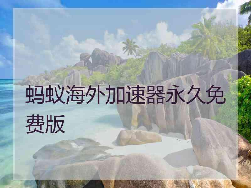 蚂蚁海外加速器永久免费版