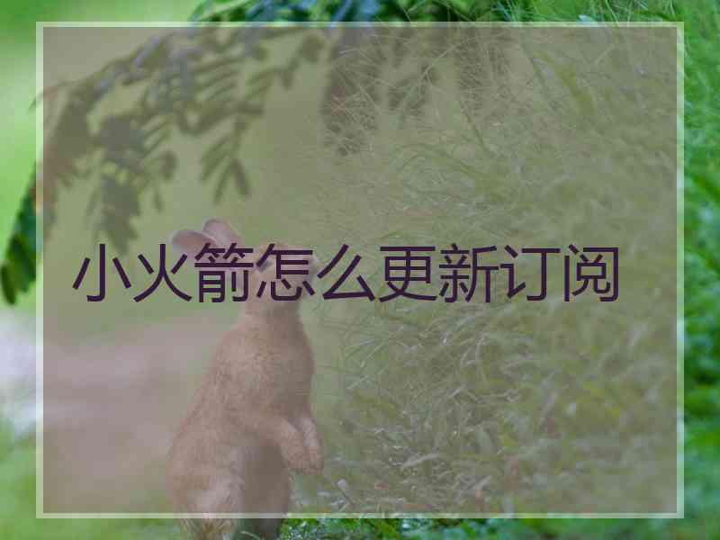 小火箭怎么更新订阅