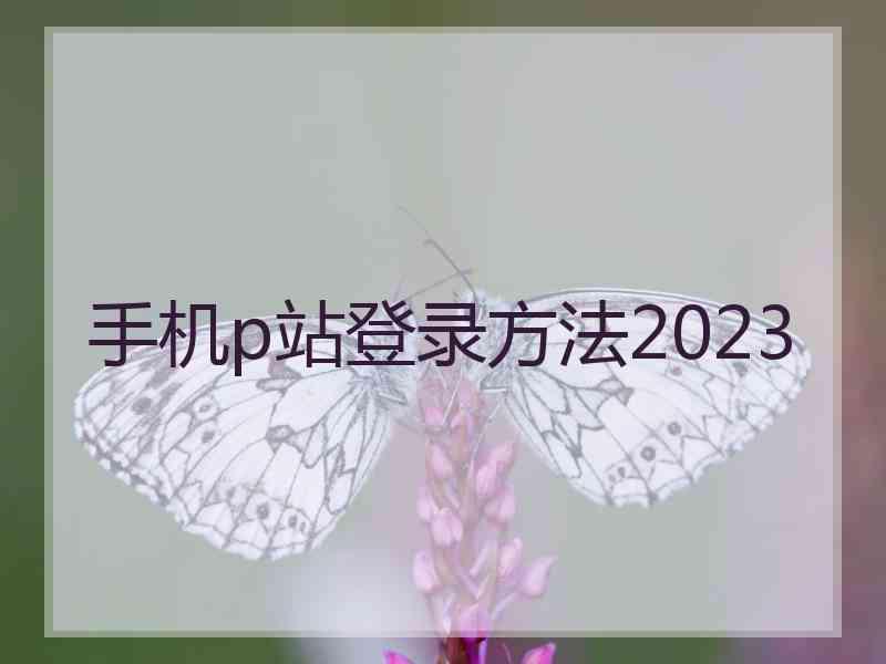 手机p站登录方法2023