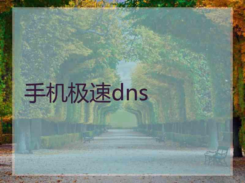 手机极速dns