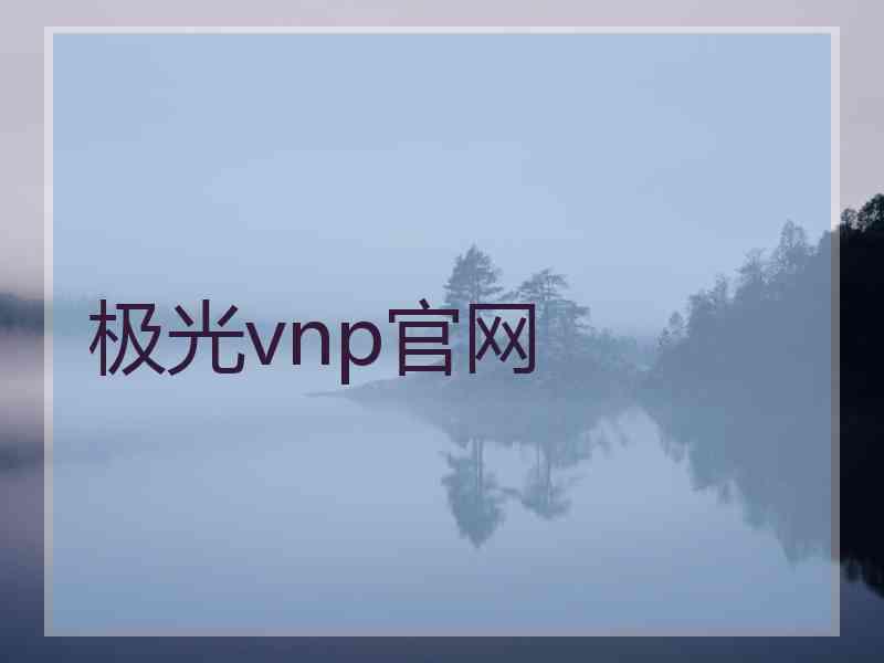 极光vnp官网