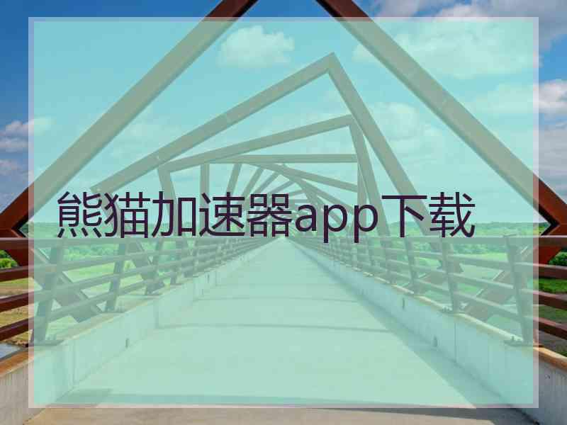 熊猫加速器app下载