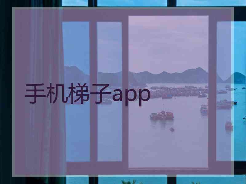 手机梯子app