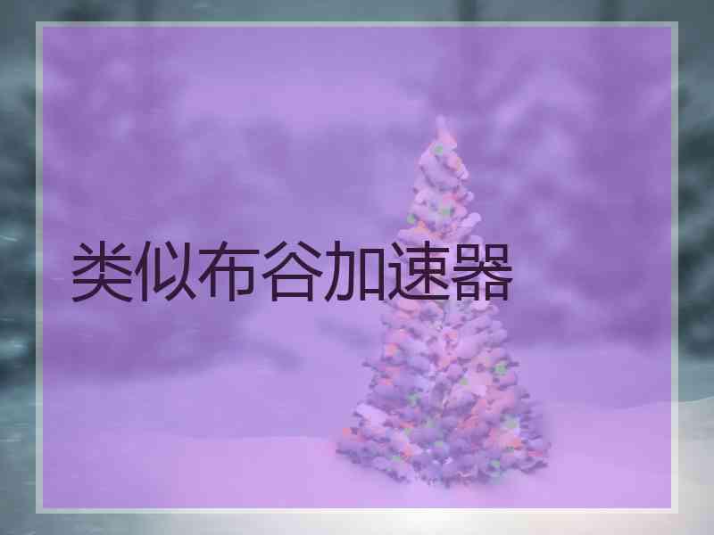 类似布谷加速器