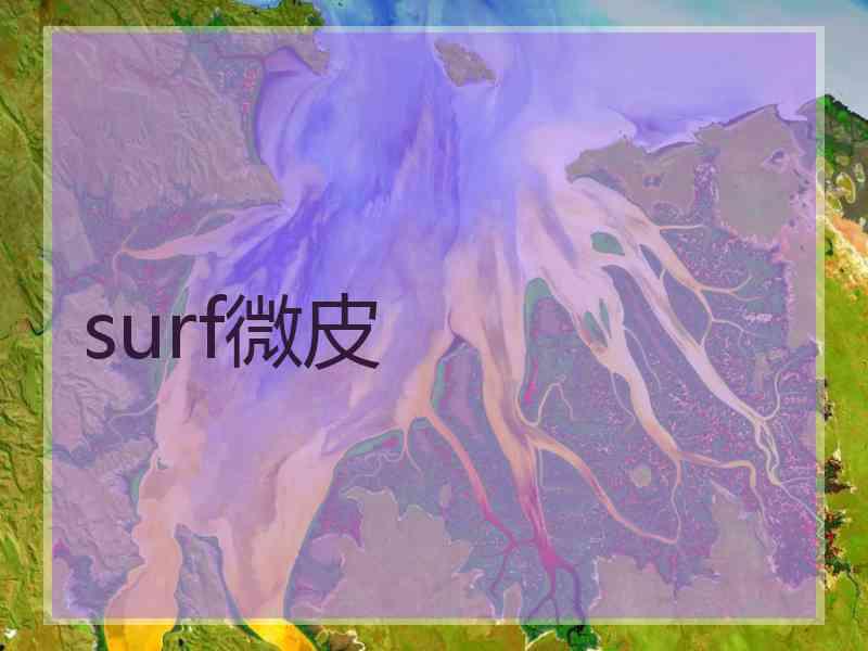 surf微皮