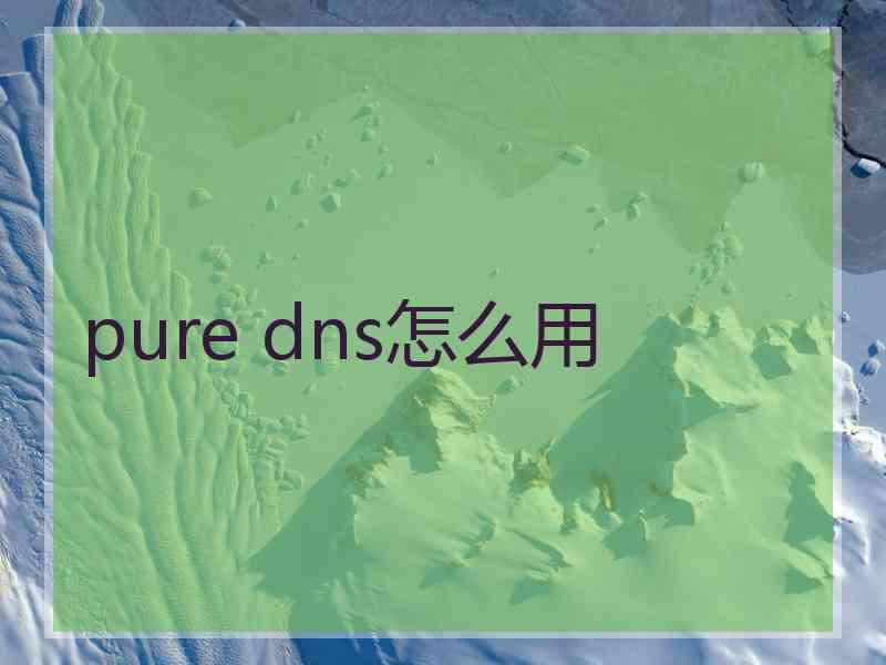 pure dns怎么用