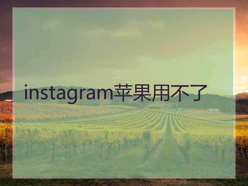 instagram苹果用不了