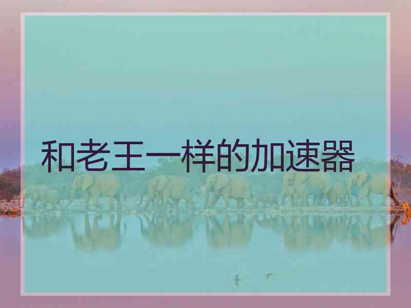 和老王一样的加速器