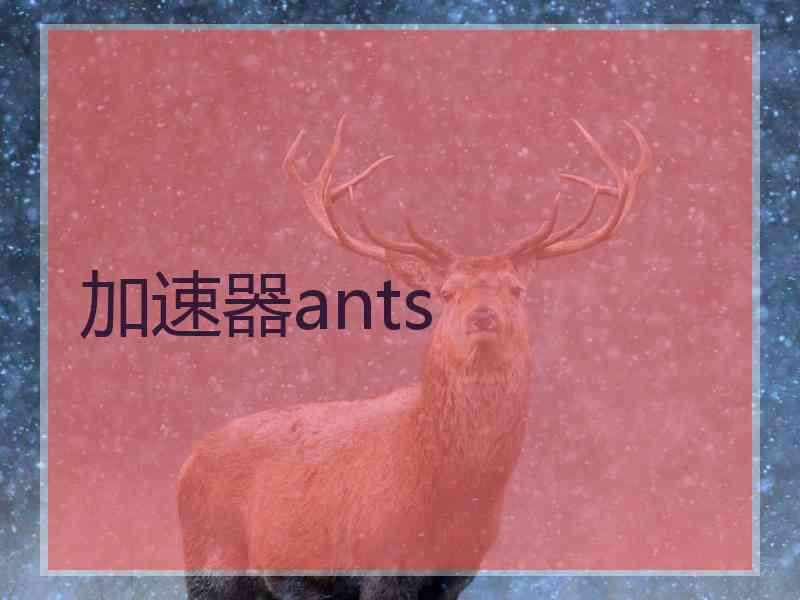 加速器ants