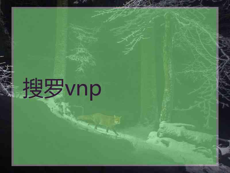 搜罗vnp