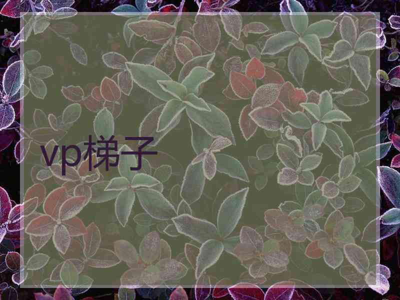 vp梯子