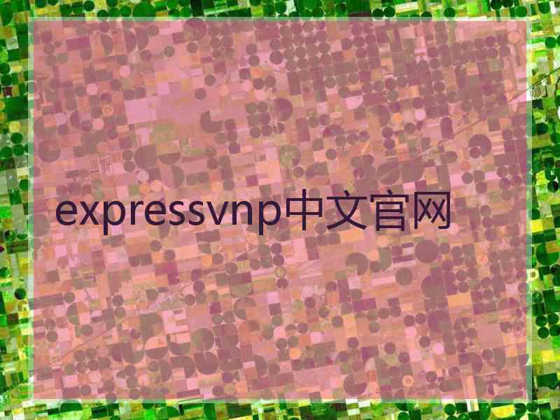 expressvnp中文官网